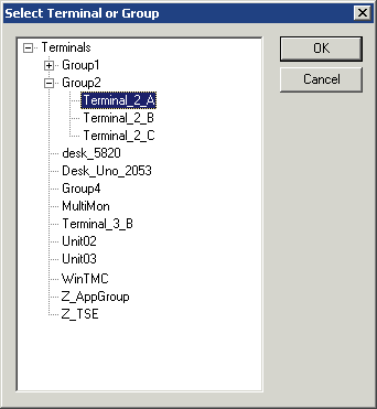 Select Terminal or Group Window